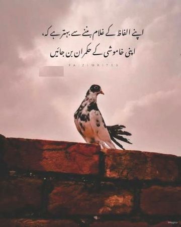 Life Advice image