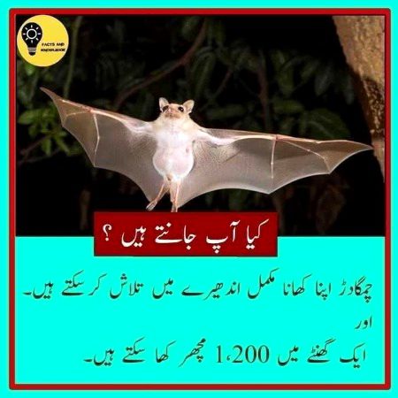 Interesting Posts image