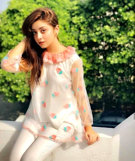 Pakistani Celebs image