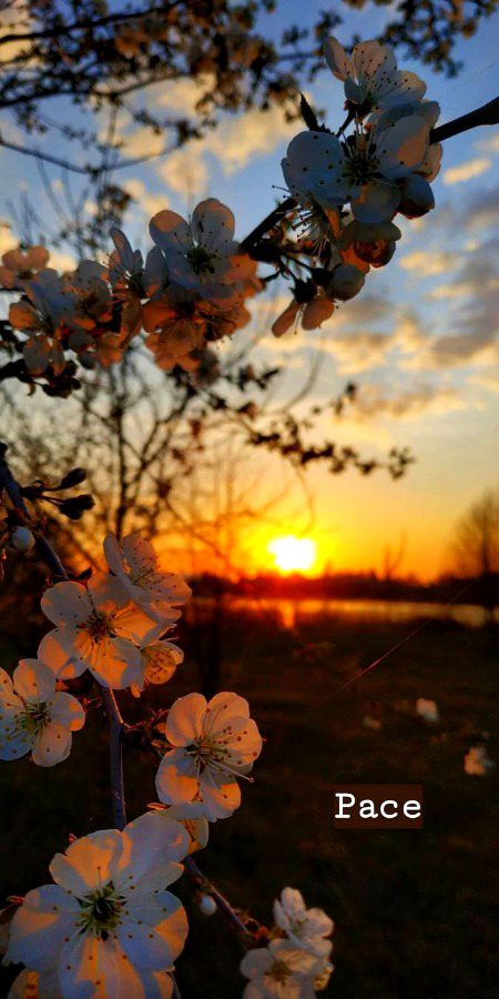 Beautiful Nature image