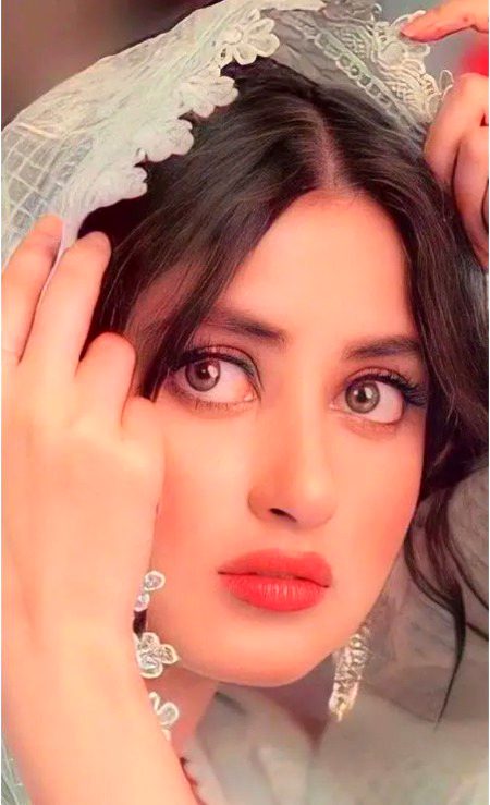 Pakistani Celebs image