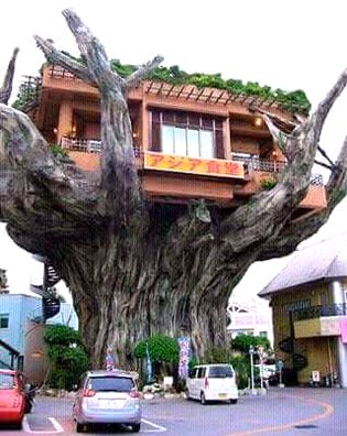 Beautiful Structures image
