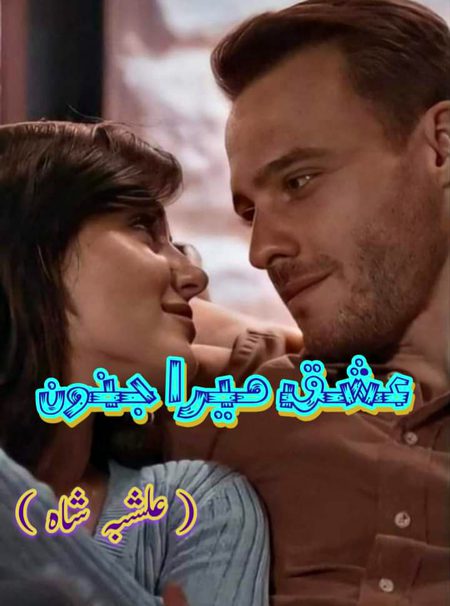 Romantic Novels image