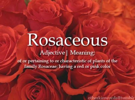 Beautiful Nature image