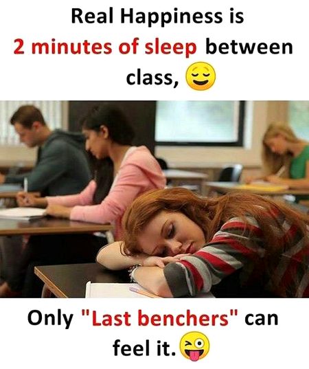 Memes & Satire image