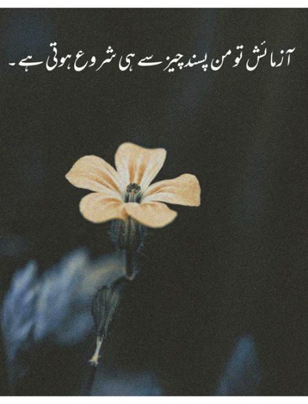 Sad Poetry image