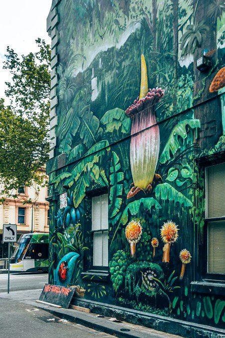 Street Art image