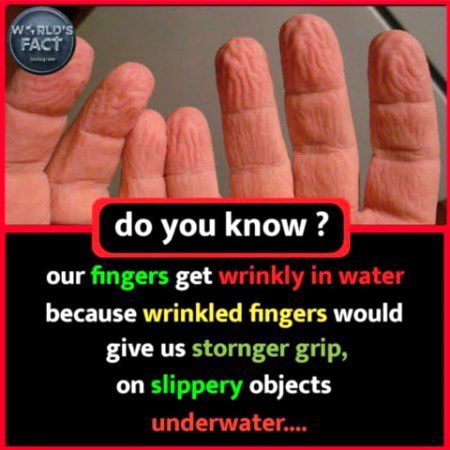 Interesting Posts image