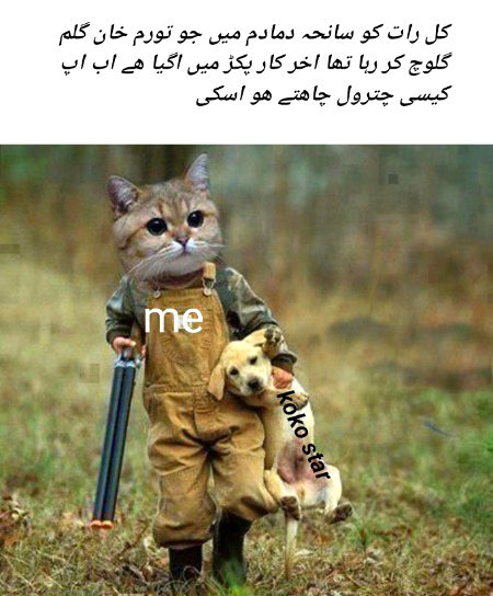 Damadam Roasting image