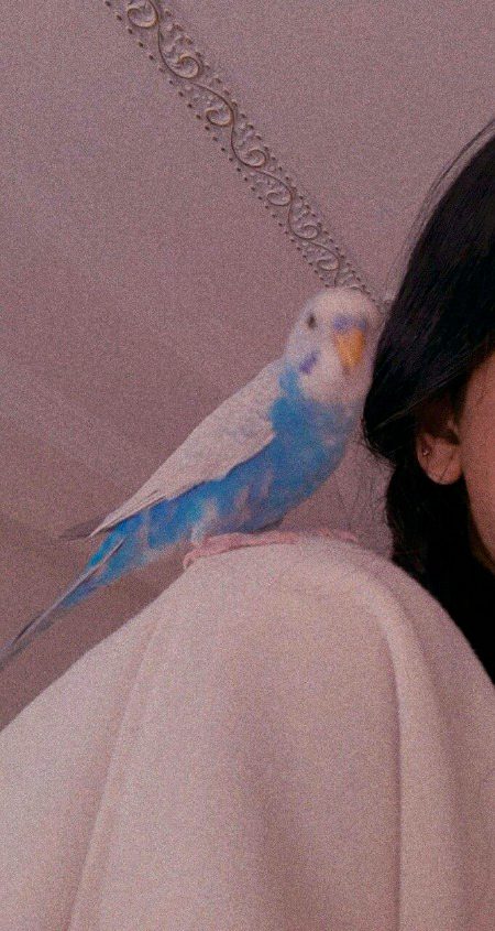 Beautiful Nature image