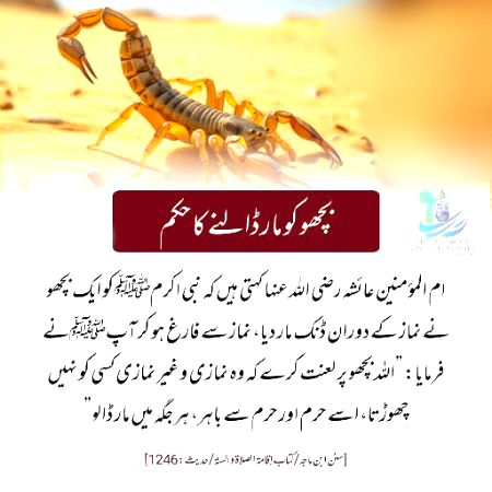 Islamic....