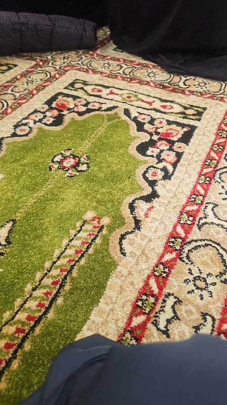 🌹❤️🌹❤️🌹❤️🌹