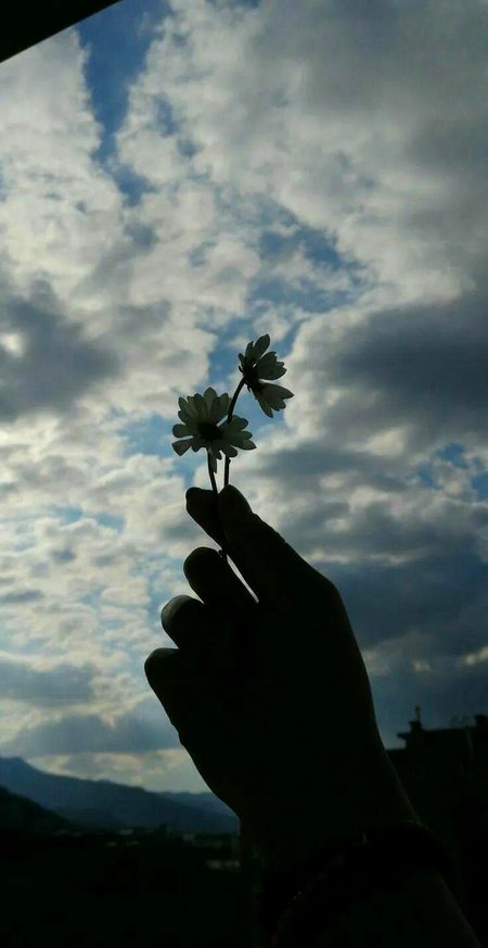 Beautiful Nature image