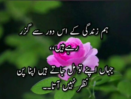 Assalam u alaikum 🖤