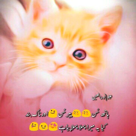 Memes & Satire image