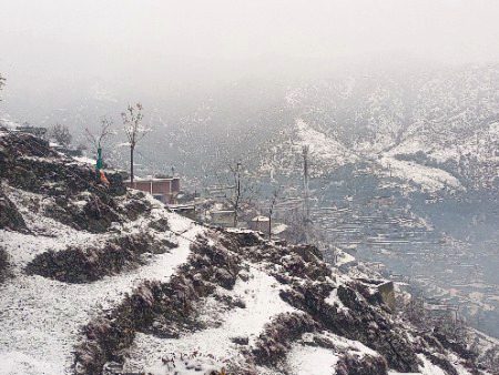 Beautiful Nature image