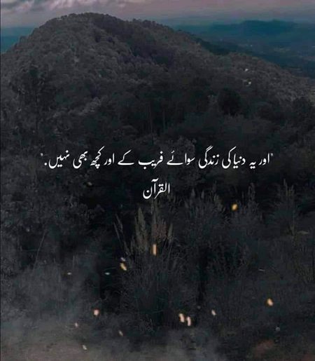 Islamic Quotes image
