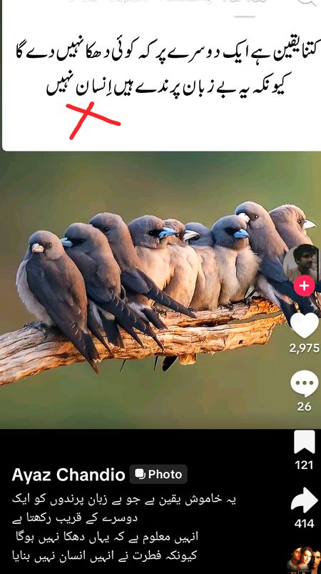 Motivational Quotes image