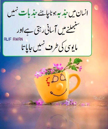 Motivational Quotes image