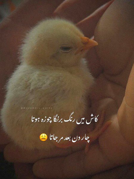 Sad Poetry image