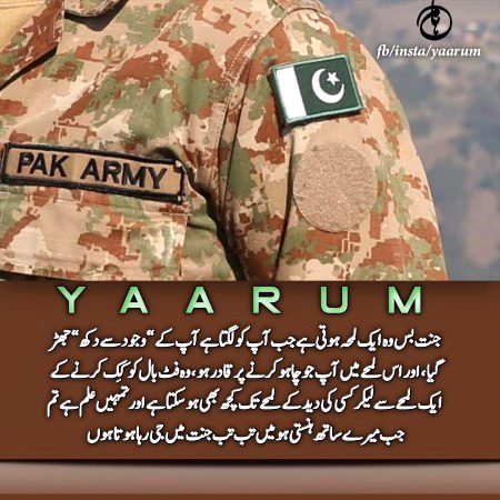 Romantic Novels image