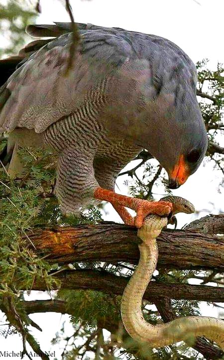 Beautiful Nature image