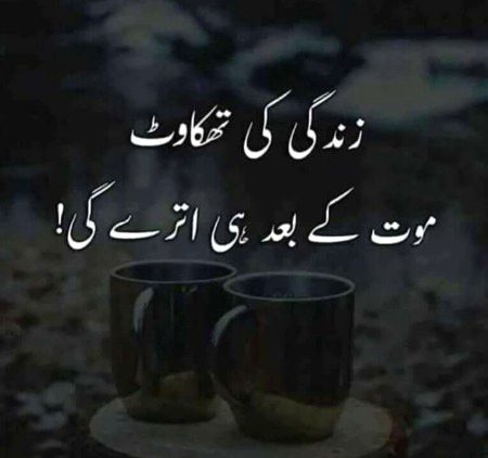 محبت کرنے والے انا کو توڑنے کی کوشش نہیں کرتے۔۔۔ وہ مان رکھتے ہیں اور مان جاتے۔۔۔