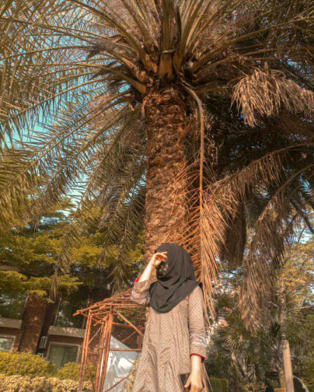 Beautiful Nature image