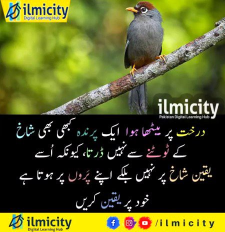 Motivational Quotes image