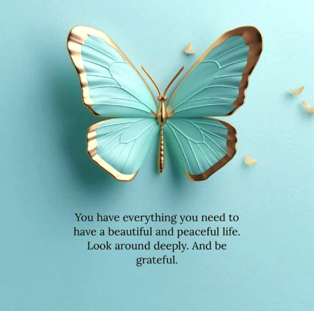 Life Advice image