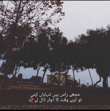 🍁Zoq_Shab🍁
