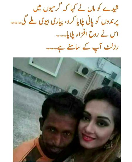 Memes & Satire image
