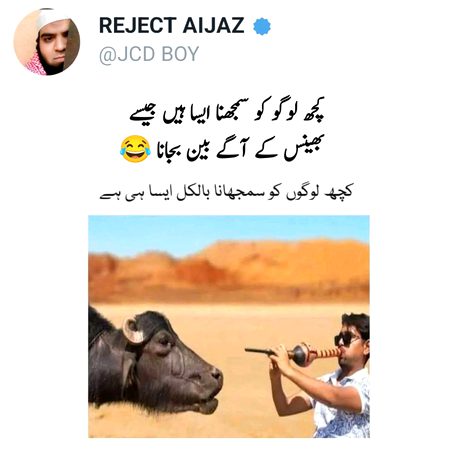 Memes & Satire image