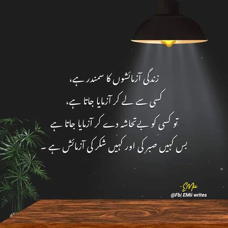 .q3🌷
How🌷🌷 r🌷🌷 u🌼🌻 all.. 🌷🌷