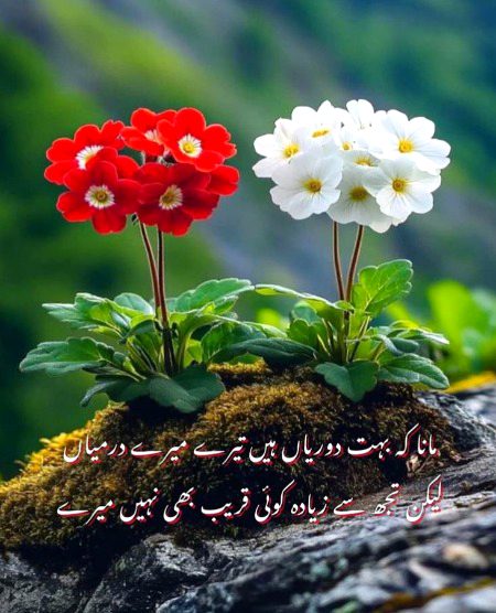 Romantic Poetry image