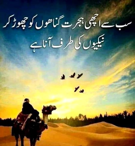 Islamic Quotes image