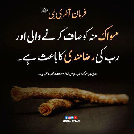 مسواک منہ کو صاف کرنے والی اور رب کی رضا مندی کا باعث ہے۔