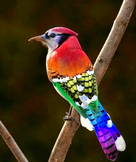 Beautiful Nature image