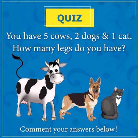 Knowledge Test image