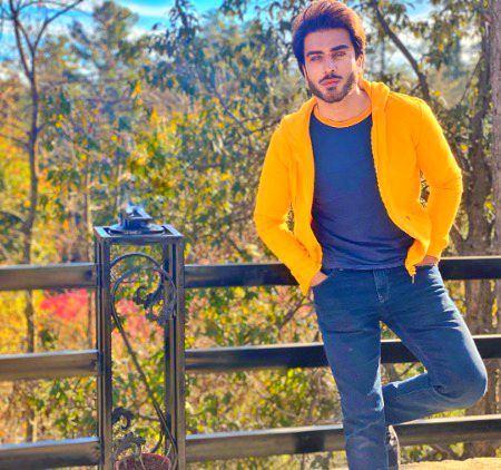 Pakistani Celebs image