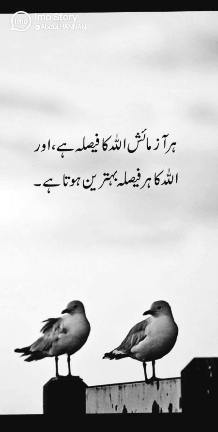.g3.g3.g3 BesHak .g3.g3.g3