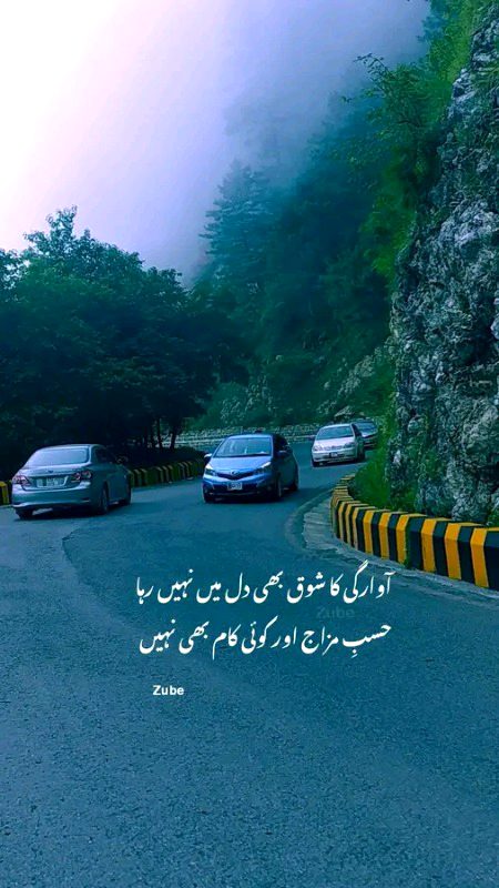 آوارگی کا شوق بھی دل میں نہیں رہا
حسبِ مزاج اور کوئی کام بھی نہیں۔🤍🥀