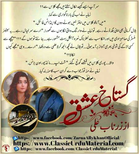 Romantic Novels image