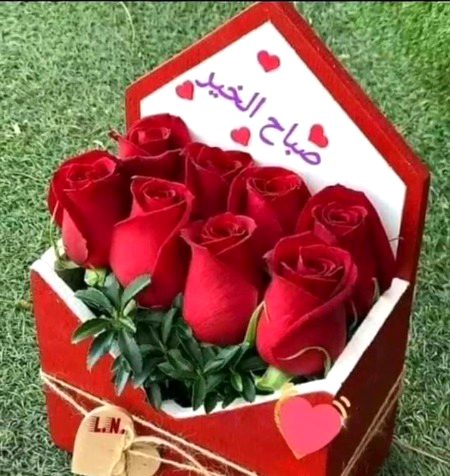 *اے اللہ ہمارے والدین دونوں پر رحم فرما جیسے انہوں نے بچپن میں ہمیں پالا اے ہمارے رب ہمیں  ہمارے والدین کو اہنے پسندیدہ صالح بندوں میں شامل فرما اے اللہ ہمیں بخش دے ہمارے والدین کو اور ایمان والوں کو جس دن حساب قائم ہو اے اللہ ہمیں توفیق دے کہ ہم تیری اس نعمت کا شکر ادا کریں جو تو نے ہمیں اور ہمارے والدین کو عطا کی ہیں اے اللہ ہمیں ایسے نیک عمل کریں کہ ہم تجھے پسند آجائیں آمین یارب العالمین*🤲🏻