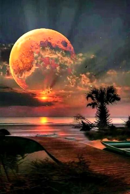 Digital Art image