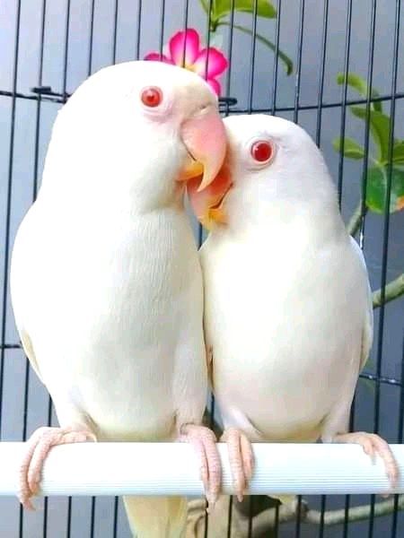 Beautiful Nature image