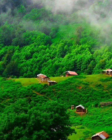 Beautiful Nature image