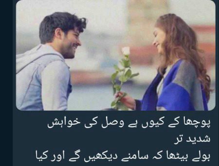 خوب واقف ہوں میں اس دنیا کی فطرت سے بہت اچھے ہیں لوگ مگر ضرورت کی حد تک