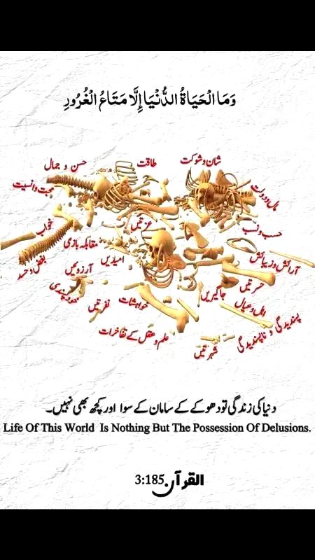 Islamic Quotes image