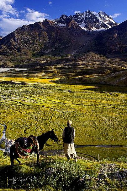 Beautiful Nature image